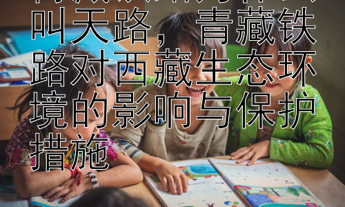 青藏铁路为什么叫天路，青藏铁路对西藏生态环境的影响与保护措施插图