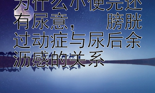 为什么小便完还有尿意，  膀胱过动症与尿后余沥感的关系插图
