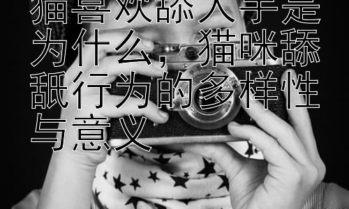 猫喜欢舔人手是为什么，猫咪舔舐行为的多样性与意义插图