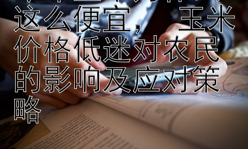 今年玉米为什么这么便宜， 玉米价格低迷对农民的影响及应对策略插图