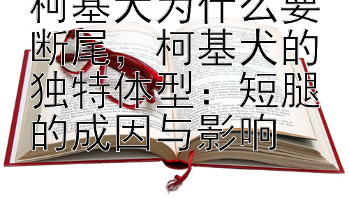 柯基犬为什么要断尾，柯基犬的独特体型：短腿的成因与影响插图