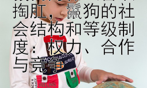 鬣狗为什么喜欢掏肛，鬣狗的社会结构和等级制度：权力、合作与竞争插图
