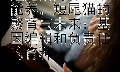 短尾猫为什么不能养，短尾猫的繁育与未来：基因编辑和负责任的育种插图