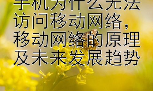 手机为什么无法访问移动网络，移动网络的原理及未来发展趋势插图