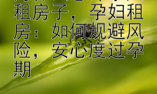 为什么忌讳孕妇租房子，孕妇租房：如何规避风险，安心度过孕期插图