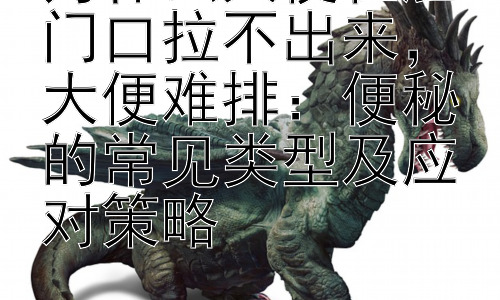为什么大便在肛门口拉不出来，大便难排：便秘的常见类型及应对策略插图