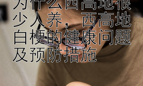 为什么西高地很少人养，西高地白梗的健康问题及预防措施插图