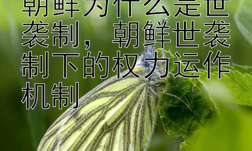 朝鲜为什么是世袭制，朝鲜世袭制下的权力运作机制插图