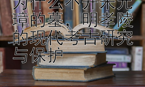 为什么不开朱元璋的墓，明孝陵的现代考古研究与保护插图