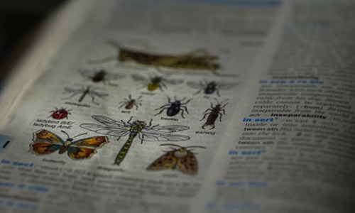 current是什么意思， Current Events: Understanding the World Around Us插图3
