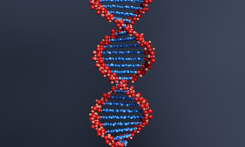 费心是什么意思，  费心与付出的细微差别：从心理学角度解读插图