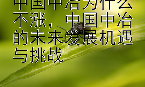 中国中冶为什么不涨，中国中冶的未来发展机遇与挑战插图