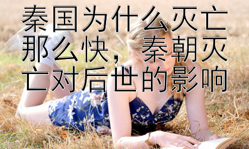 秦国为什么灭亡那么快，秦朝灭亡对后世的影响插图