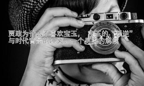 贾政为什么不喜欢宝玉， 宝玉的“叛逆”与时代背景的冲突：一个另类的解读插图
