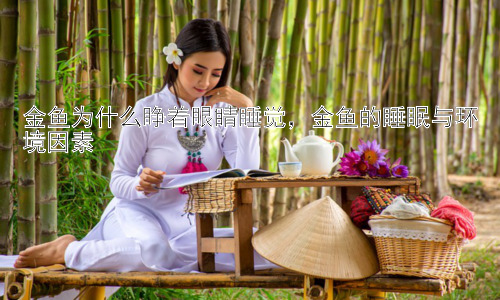 金鱼为什么睁着眼睛睡觉，金鱼的睡眠与环境因素插图