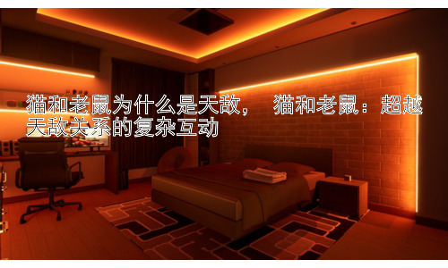 猫和老鼠为什么是天敌， 猫和老鼠：超越天敌关系的复杂互动插图