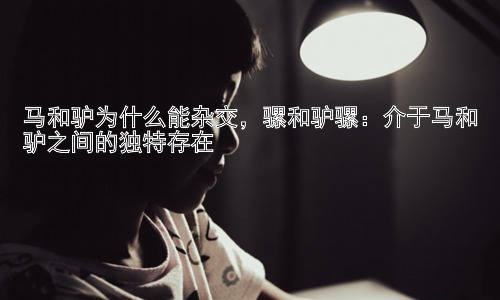马和驴为什么能杂交，骡和驴骡：介于马和驴之间的独特存在插图