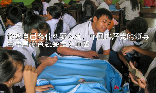 谈谈自己为什么要入党，中国共产党的领导与中国特色社会主义道路插图