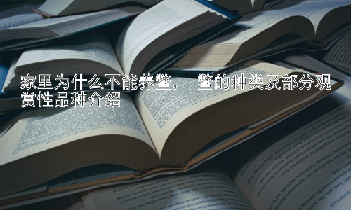 家里为什么不能养鳖， 鳖的种类及部分观赏性品种介绍插图