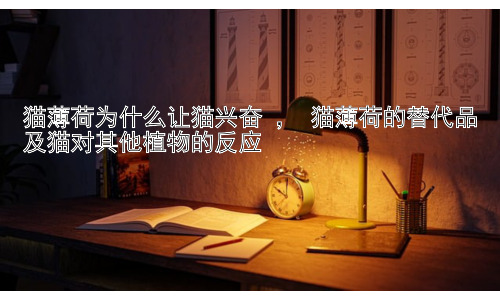 猫薄荷为什么让猫兴奋 ， 猫薄荷的替代品及猫对其他植物的反应插图