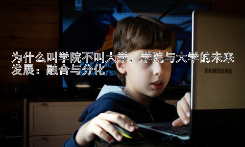 为什么叫学院不叫大学，学院与大学的未来发展：融合与分化插图
