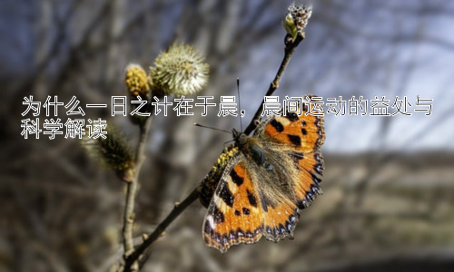 为什么一日之计在于晨，晨间运动的益处与科学解读插图
