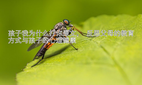 孩子我为什么打你原文， 反思父母的教育方式与孩子的心理健康插图
