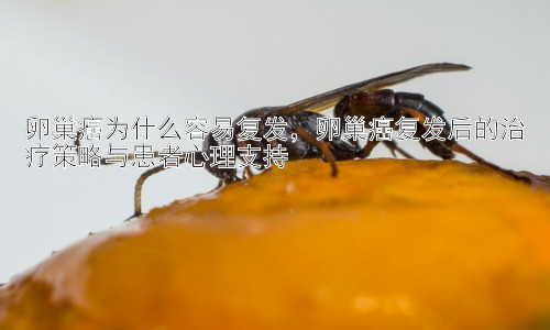 卵巢癌为什么容易复发，卵巢癌复发后的治疗策略与患者心理支持插图