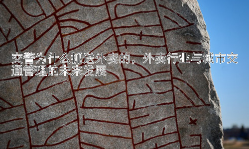 交警为什么抓送外卖的，外卖行业与城市交通管理的未来发展插图