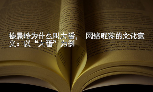 徐晨皓为什么叫大番， 网络昵称的文化意义：以“大番”为例插图