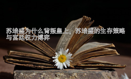 苏培盛为什么背叛皇上，苏培盛的生存策略与宫廷权力博弈插图