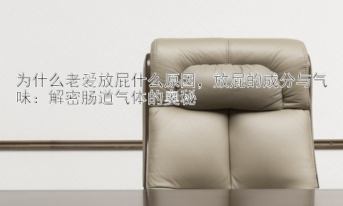 为什么老爱放屁什么原因，放屁的成分与气味：解密肠道气体的奥秘插图