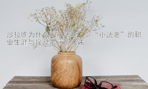 沙拉维为什么叫小法老，  “小法老”的职业生涯与埃及足球的未来插图