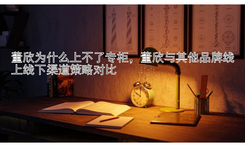 董欣为什么上不了专柜，董欣与其他品牌线上线下渠道策略对比插图