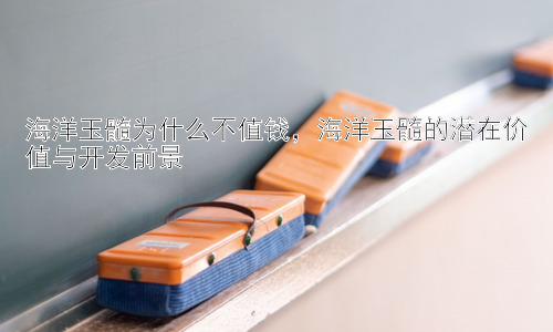 海洋玉髓为什么不值钱，海洋玉髓的潜在价值与开发前景插图