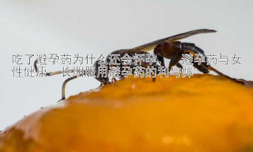吃了避孕药为什么还会怀孕，  避孕药与女性健康：长期服用避孕药的利与弊插图