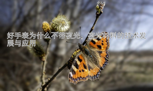 好手表为什么不带夜光，夜光材料的技术发展与应用插图