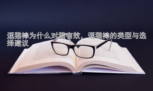 逗猫棒为什么对猫有效，逗猫棒的类型与选择建议插图