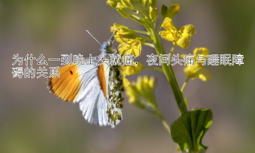 为什么一到晚上头就痛，夜间头痛与睡眠障碍的关系插图