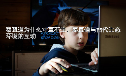 秦直道为什么寸草不生，秦直道与古代生态环境的互动插图