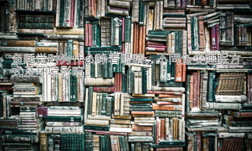 鱼睡觉时为什么睁着眼睛，不同鱼类睡眠方式及环境影响插图