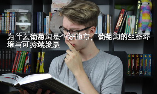 为什么葡萄沟是个好地方，葡萄沟的生态环境与可持续发展插图