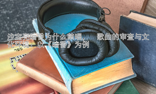 沙宝亮暗香为什么禁唱，  歌曲的审查与文化环境：以《暗香》为例插图
