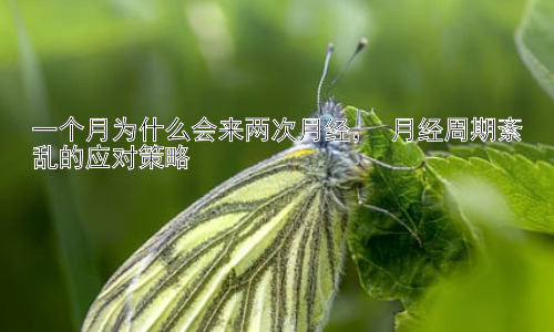 一个月为什么会来两次月经， 月经周期紊乱的应对策略插图