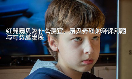 红壳扇贝为什么便宜，扇贝养殖的环保问题与可持续发展插图