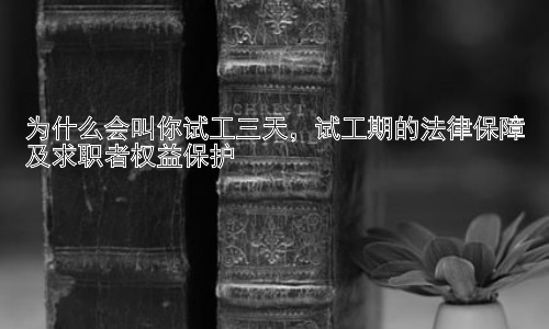 为什么会叫你试工三天，试工期的法律保障及求职者权益保护插图