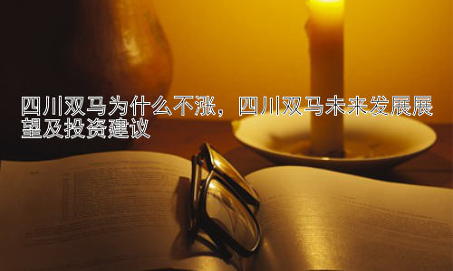 四川双马为什么不涨，四川双马未来发展展望及投资建议插图