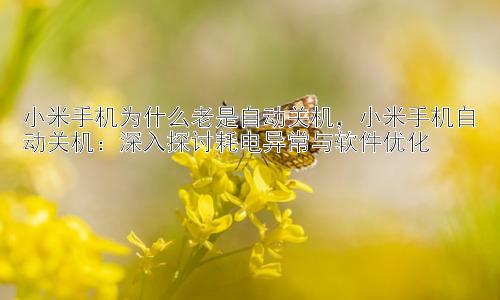 小米手机为什么老是自动关机，小米手机自动关机：深入探讨耗电异常与软件优化插图