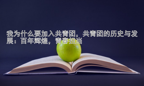 我为什么要加入共青团，共青团的历史与发展：百年辉煌，青春担当插图