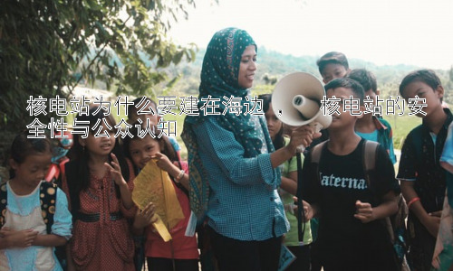 核电站为什么要建在海边 ，  核电站的安全性与公众认知插图